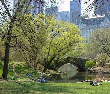 Design the first statue honoring women in Central Park